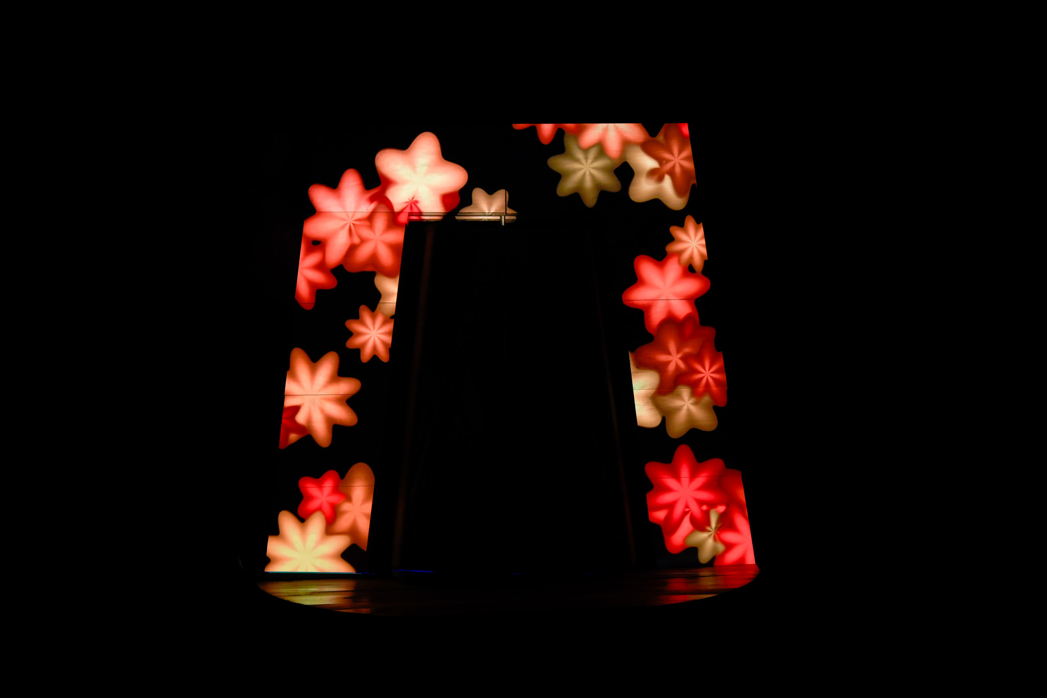 The field at full bloom projected onto the frame's plywood faces at night